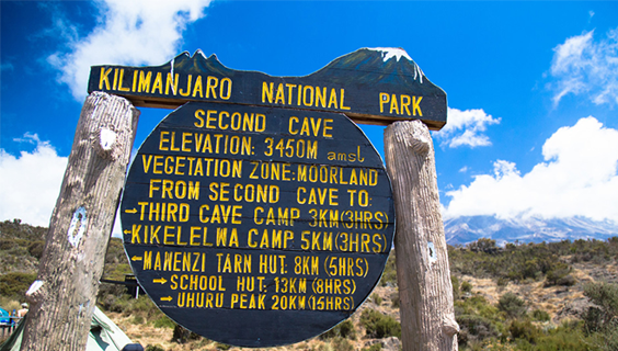 Kilimanjaro